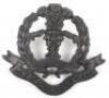 1st Volunteer Battalion Middlesex Regiment Officers Cap / Collar Badge