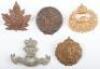 5x Canadian C.E.F Cap Badges