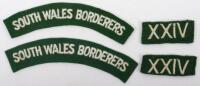 South Wales Borderers Germany Occupation Force Insignia Grouping