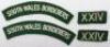 South Wales Borderers Germany Occupation Force Insignia Grouping