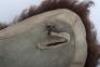 WW2 German Luftwaffe Russian Front Field Cap - 13