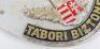 Scarce Axis Forces Hungarian Military Police Gorget - 4
