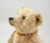 Early good light brown mohair Steiff Teddy bear, German circa 1909, - 2