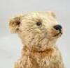 Early good light brown mohair Steiff Teddy bear, German circa 1909, - 3