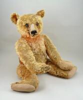 A large and early apricot mohair Steiff Teddy Bear, German circa 1909,