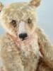 A large and early apricot mohair Steiff Teddy Bear, German circa 1909, - 2