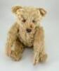 Early light brown mohair centre seam Steiff Teddy Bear, German circa 1909, - 2