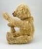 Early light brown mohair centre seam Steiff Teddy Bear, German circa 1909, - 3