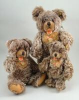 Family of three Steiff mohair Zotty Teddy Bears, 1950s,