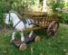 Wooden pull along Horse on Wheels and Hay cart, English circa 1900, - 2