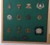 Two Display Boards of British Cap Badges - 3