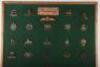 Display Board of British Military Badges - 2