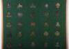 Display Board of British Military Badges - 3