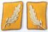 Third Reich SA (Sturmabteilung) Gruppe Mitte SA-Standartenfuhrer Tunic Collar Tabs