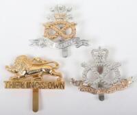 3x Anodised Aluminium British Infantry Regiments Cap Badges