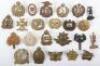 Selection of New Zealand Regiments Cap and Collar Badges