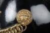 Bedfordshire Imperial Yeomanry Officers Lance Cap - 12