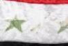 1st Gulf War Iraqi Camouflaged Helmet and Flag - 10