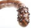 Five walking sticks including a silver banded antler stick with naturalistic body - 6