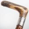 Five walking sticks including a silver banded antler stick with naturalistic body - 11