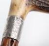 Five walking sticks including a silver banded antler stick with naturalistic body - 13