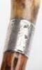 Five walking sticks including a silver banded antler stick with naturalistic body - 14