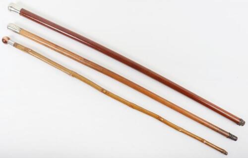 Three walking canes, including a Alexandra Princess of Wales Own Yorkshire Regiment silver topped cane