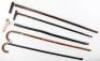 Five walking sticks, including a rosewood and banded stick