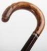Five walking sticks, including a rosewood and banded stick - 5