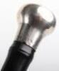 Four ebonised walking canes, - 10