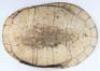 Giant South American River Turtle, also known as the Tataruga turtle (Podocnemis expansa), early 19th century &ldquo;Blonde Shell&rdquo;, with scutes removed