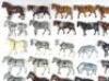 Britains and other Horses - 4
