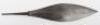 Head of a German or Austrian Boar Spear - 3