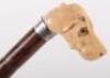 ^ Edwardian Walking Stick with Nicely Carved Ivory Dogs Head Handle - 3