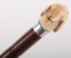 ^ Edwardian Walking Stick with Nicely Carved Ivory Dogs Head Handle - 4