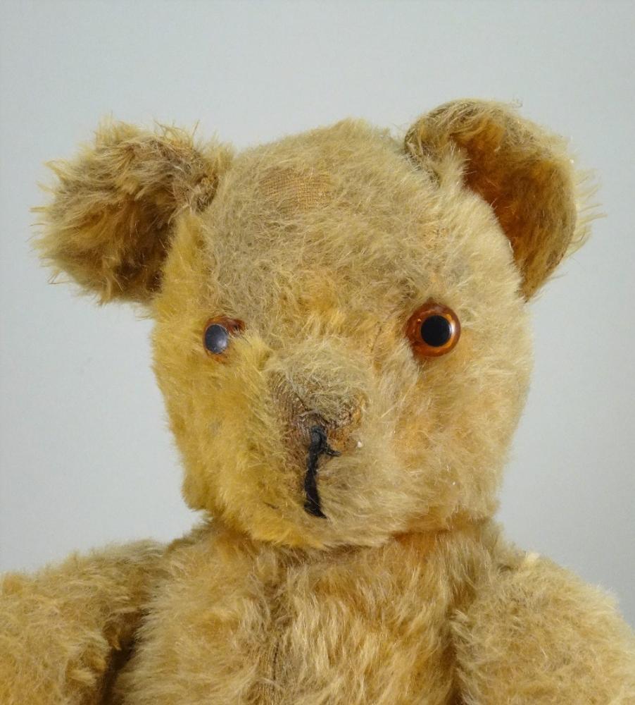 A Pedigree Teddy bear English 1950s