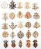 British Infantry Regiments & Corps Cap Badges - 2