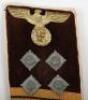 Third Reich NSDAP Kreis Level Hauptgemeinschaftsleiter Collar Patches - 2