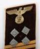 Third Reich NSDAP Kreis Level Hauptgemeinschaftsleiter Collar Patches - 3