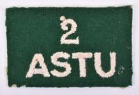 2 Army Selection Training Unit Cloth Formation Sign