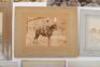 South Africa c.1900 Group of Photographs, believed to be 27th Company (Devon) Imperial Yeomanry - 6
