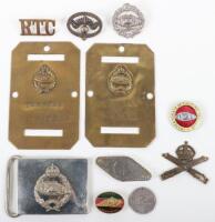 Grouping of Royal Tank Corps & Royal Tank Regiment Badges and Insignia