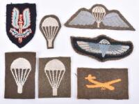 Grouping of Airborne and Special Air Service (S.A.S) Insignia