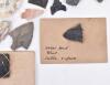 Stone Age and later, a group of knapped flint and obsidian arrow and spear heads and scrapers - 4