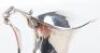A Victorian Scottish silver jug, William Cunningham Edinburgh - 8